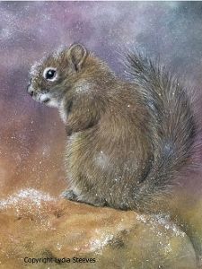 Brrr! CP e-Packet & Video